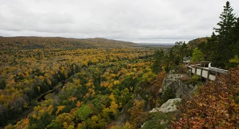 Michigan - Fall Colored Forest from Above - 4K Realtime Stock Footage 111685173