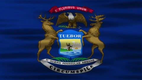 Michigan flag animation Stock Footage 312485276