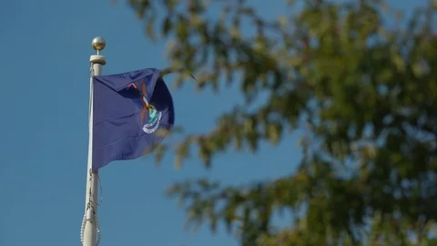 Michigan flag flying in the wind on a fall day Stock Footage 95790073