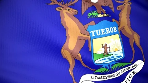 Michigan Stock Footage 85599726