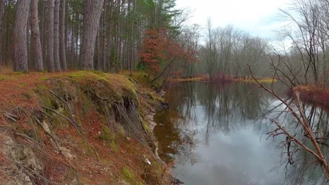 Michigan River And Woods In The Fall Stock Footage 146036927