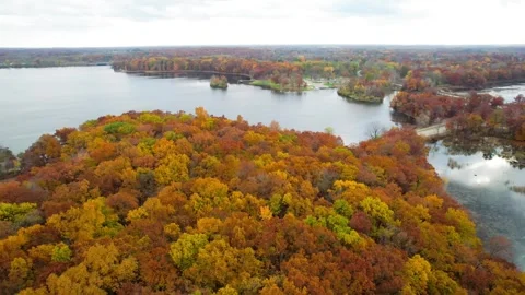 Michigan Seasons - Fall/Winter/Spring/Summer Stock Footage 262924532
