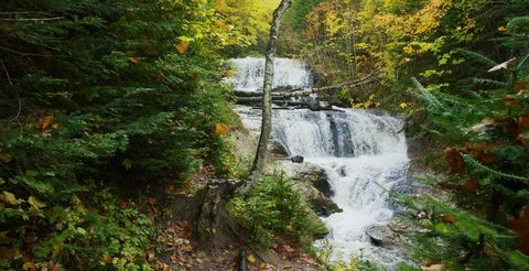 Michigan - Slow Motion Leaves Falling in front of Waterfall - 6K Slow Motion Stock Footage 112730668