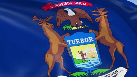 Michigan State Waving Flag Background Loop Stock Footage 317846551