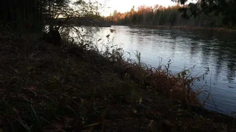 Michigan Time Lapse: Au Sable River evenining Stock Footage 146242300