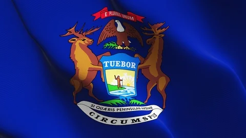 Michigan US State flag loop waving on wind. Stock Footage 119233603