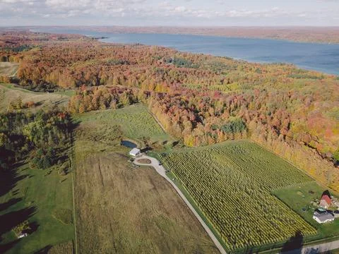Michigan Vineyard Fall Stock Photos