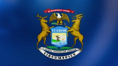 Michigan Waving flag up Stock Footage 303001378