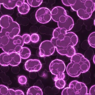 Micro bio Stock Photos