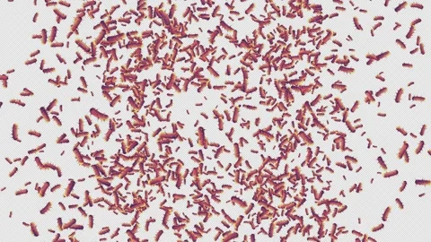 Micro Body Cell Explosion. Burst of Body Cell. Alpha Channel Stock Footage 290173171