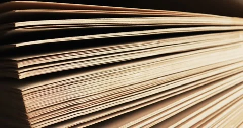 Micro of book pages and copy space on grey background Stock Footage 331208806