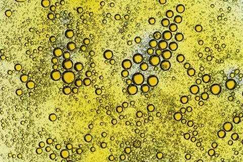 Micro cellls Stock Photos