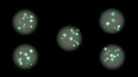 Micro cells world under microscope.Microscopy,ions,material,texture,Bacteria,mic Stock Footage 829663