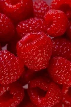 Micro close up of raspberries with copy space Stock Photos