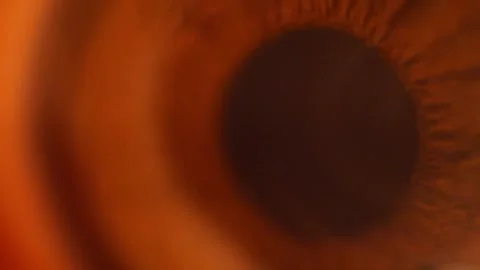 Micro Closeup Of The Eye And Cornea Stock Footage 246474981