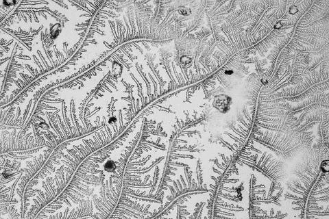 Micro crystal pattern microscopic shot showing a abstract pattern of micro... 库存照片