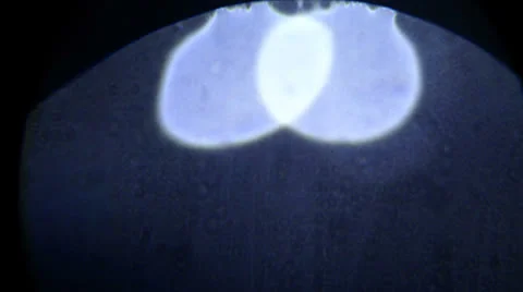 Micro-Crystals 스톡 동영상 27018344