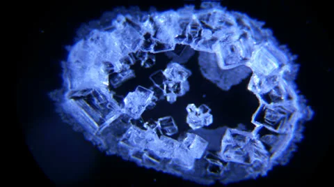 Micro-Crystals 스톡 동영상 27169384