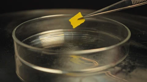 Micro dosing of LSD acid involves taking small dose of it for therapeutic e.. Stock Footage 340416584