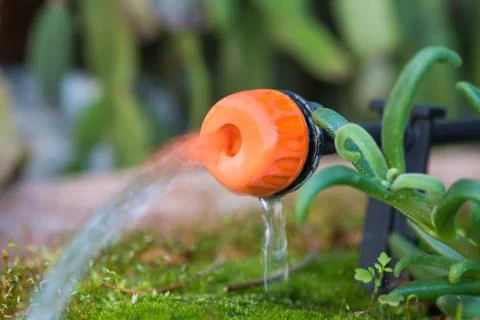 Micro drip irrigation system. Close up of a drip head in a plant pot Stock Photos