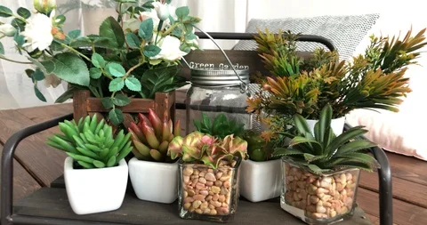 Micro garden with succulent on wood platform bench Vidéo 104968692