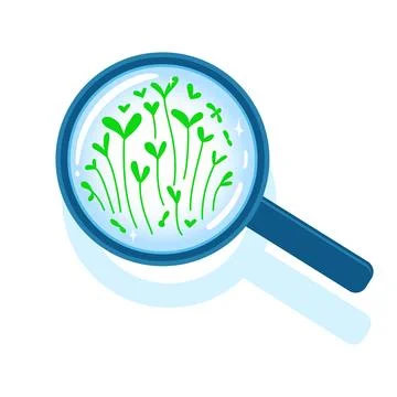 Micro greens concept illustration. Viewing sprouts through magnifier. Vecto.. Stock Illustration