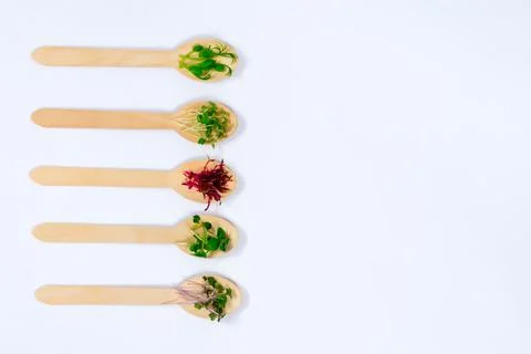 Micro greens of peas, red cabbage, amaranth, mustard, radish in assortment on Stock Photos