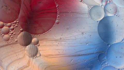 Micro life concept, big bang, endless rotation of all living things Video stock 127617250