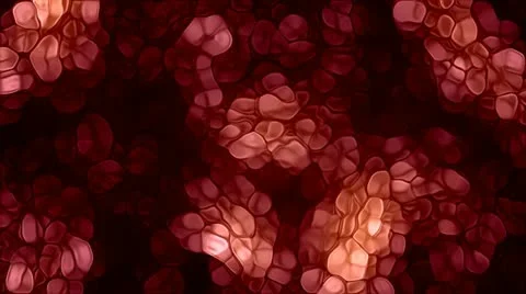 Micro Organic Meta Particles Dissolutions Stock-Footage 11495760