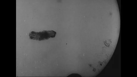 Micro organisms came to life after being frozen for long time - 1933-1935 Vidéo 98561158