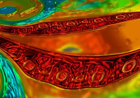 Micro organisms Stockillustratie