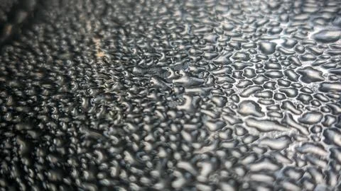 Micro photo Foto stock