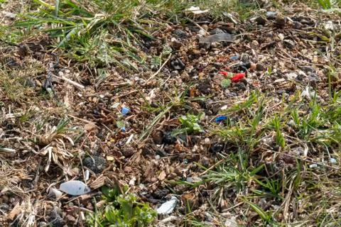 Micro plastic pollution in soil found by the beach Foto stock