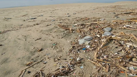 Micro Plastic waste dump on ocean sea coast,polluted ecosystem after a storm Stock Footage 145372980