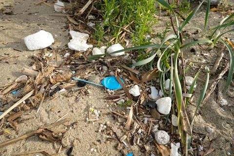 Micro plastics and polystyrene waste on sea plants ecosystem,ocen pollution Stock Photos