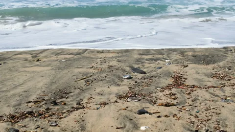 Micro plastics and tar pollution on dirty sea shore,environmental contamination Stock Footage 216528479