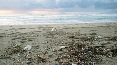 Micro plastics pollution on dirty sea coast,sunset time,environmental waste 스톡 동영상 146161744