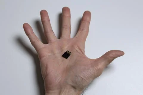 Micro SD And Full Size SD Card On Hand Storage Comparison Technology Concept 写真素材