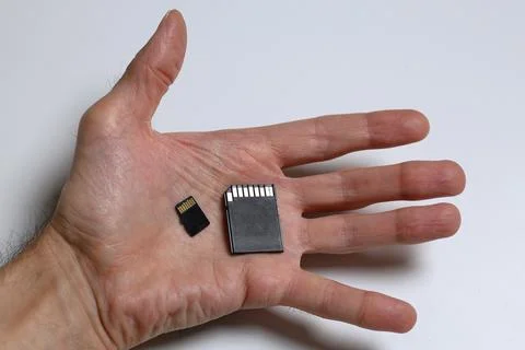 Micro SD And Full Size SD Card On Hand Storage Comparison Technology Concept Stock Photos