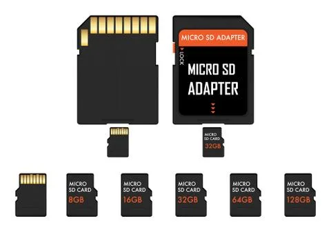 Micro SD memory card and adapter Illustrazione stock