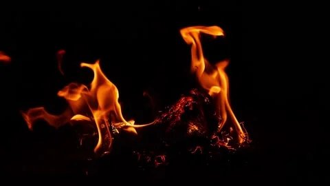 Micro shot of bushes burning,  Shot of fire due to bushes Vídeo Stock 150714799