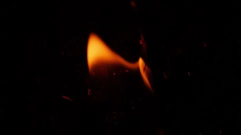 Micro shot of bushes burning,  Shot of fire due to bushes 動画素材 150715372