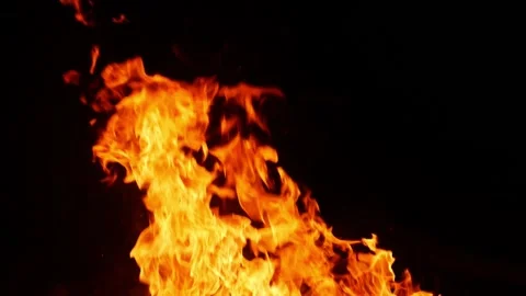 Micro shot of bushes burning,  Shot of fire due to bushes Stock-Footage 150715516