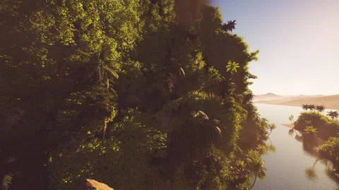 Micro shot capturing luminous leaves with sparkling dew and soft illumination Stock Footage 331521980