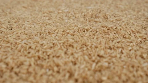 Micro shot of dropping brown rice over heap of brown rice Stock Footage 147690430