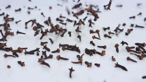 Micro shot of dropping cloves over a white background Stock-Footage 147691711