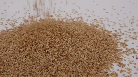 Micro shot of dropping sesame seeds over white background Stock Footage 147695250