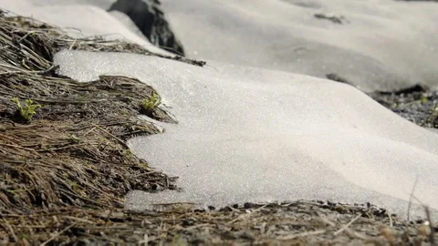 Micro shot. Melting ice on the ground time-lapse. Stock Footage 99058844