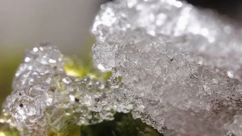 Micro shot. Melting ice time-lapse. Video stock 99058826