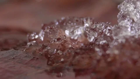 Micro shot. Melting ice time-lapse. Stock Footage 99058831